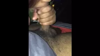 Teeny swallow in the car