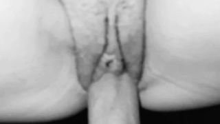 Riassunto