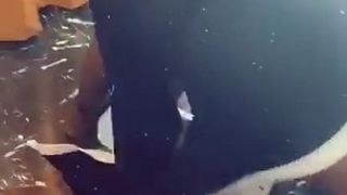 Albby Minaj 1