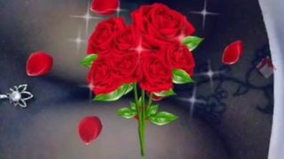 Facechat 2