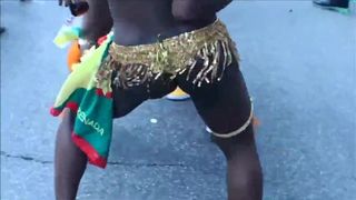 Caribbean parade Brooklyn