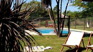 Patito jugando en la piscina
