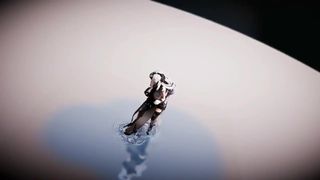 Schwarzes Sexy-Girl